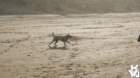 dsc01938_small.jpg
