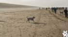 dsc01940_small.jpg