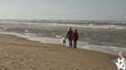 dsc01942_small.jpg