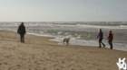 dsc01944_small.jpg