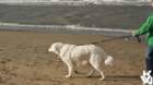 dsc01946_small.jpg
