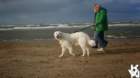 dsc01948_small.jpg