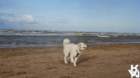 dsc01949_small.jpg