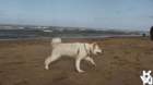 dsc01950_small.jpg