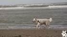 dsc01951_small.jpg