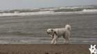 dsc01952_small.jpg