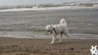 dsc01953_small.jpg