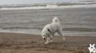 dsc01954_small.jpg