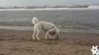 dsc01955_small.jpg