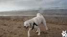 dsc01956_small.jpg