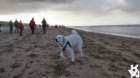 dsc01957_small.jpg