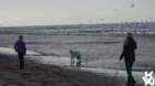 dsc01960_small.jpg