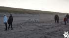 dsc01970_small.jpg