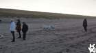 dsc01971_small.jpg