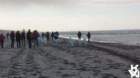 dsc01973_small.jpg