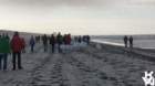 dsc01974_small.jpg