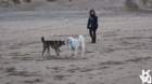 dsc01976_small.jpg