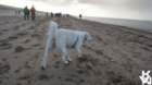 dsc01978_small.jpg
