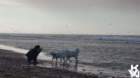 dsc01979_small.jpg