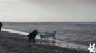 dsc01980_small.jpg