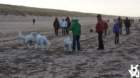 dsc01983_small.jpg