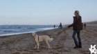 dsc01990_small.jpg