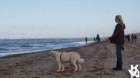 dsc01991_small.jpg