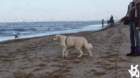 dsc01993_small.jpg