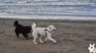 dsc01994_small.jpg