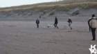 dsc01996_small.jpg