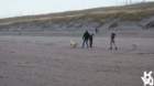 dsc01998_small.jpg