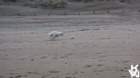 dsc01999_small.jpg