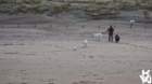 dsc02000_small.jpg