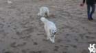 dsc02005_small.jpg