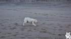 dsc02006_small.jpg