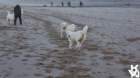 dsc02008_small.jpg