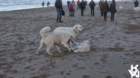 dsc02009_small.jpg
