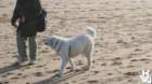 dsc02017_small.jpg