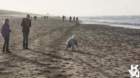 dsc02021_small.jpg