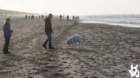 dsc02024_small.jpg