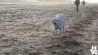 dsc02028_small.jpg