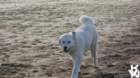 dsc02029_small.jpg