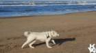 dsc02031_small.jpg