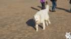 dsc02033_small.jpg