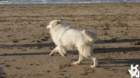 dsc02034_small.jpg