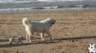 dsc02035_small.jpg