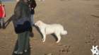 dsc02037_small.jpg