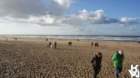 dsc02040_small.jpg