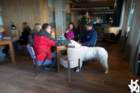 dsc02044_small.jpg