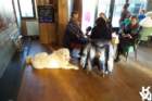 dsc02046_small.jpg